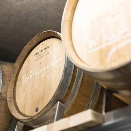 아파트 Hofquartier 카펠로덱