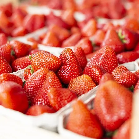 아파트 Hofquartier