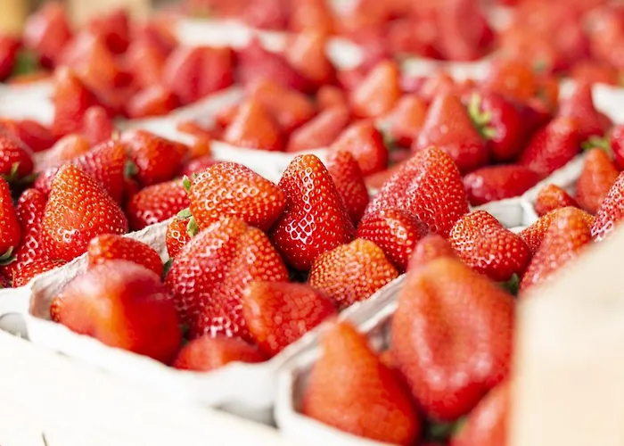 Apartament Hofquartier