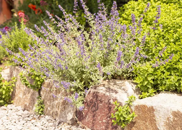 Apartament Hofquartier *